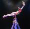 Beijing Acrobatic Tickets at Chaoyang Theatre