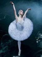 Swan Lake & Ballet Gala